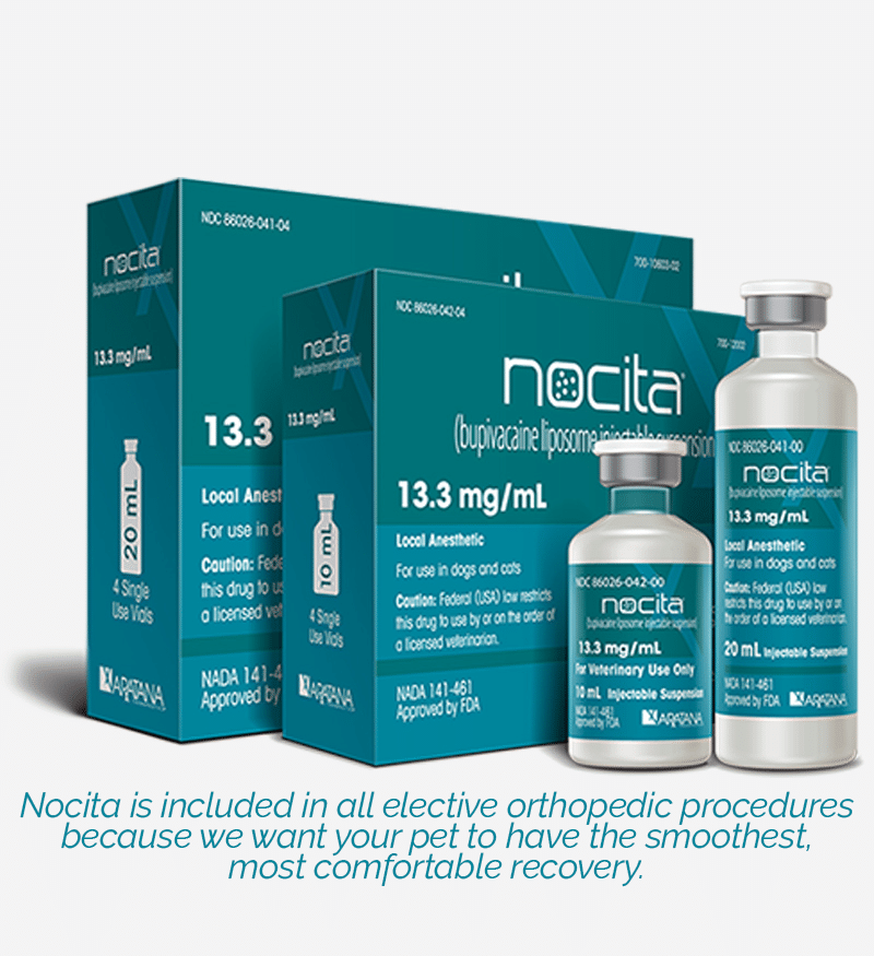 Veterinary anesthesia monitoring equipment ensuring safe surgical procedures